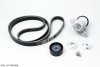 Original  TENDEUR DE COURROIE Renault 1.6 16V LAGUNA 09-/LOGAN 6PK1822, 117206746R